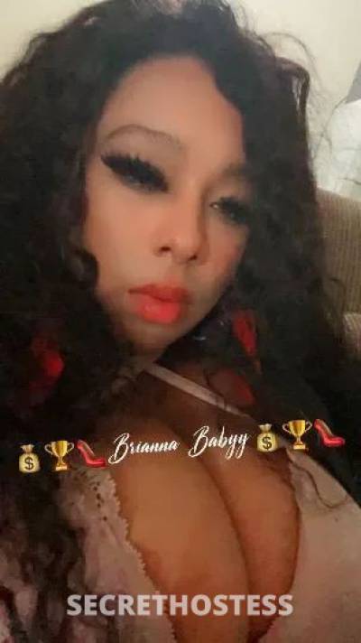 Sandrababy 20Yrs Old Escort North Bay CA Image - 1