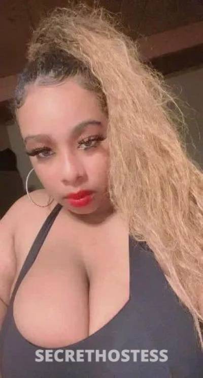 Sandrababy 20Yrs Old Escort North Bay CA Image - 2