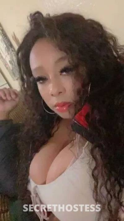 Sandrababy 20Yrs Old Escort North Bay CA Image - 6