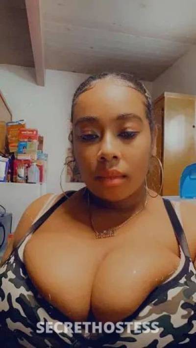 Sandrababy 20Yrs Old Escort North Bay CA Image - 7