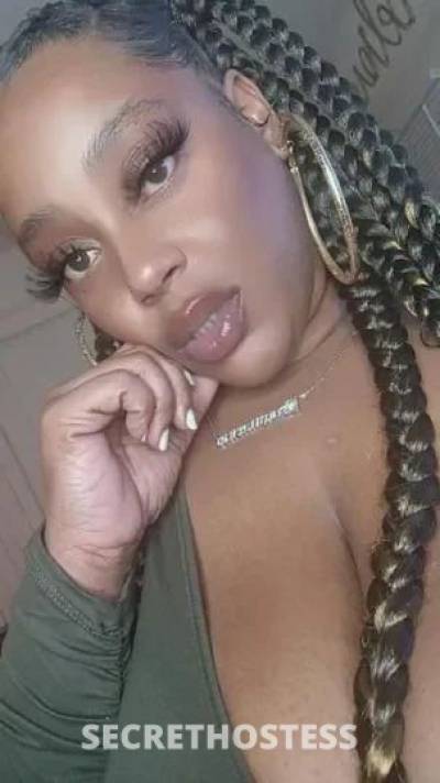 Sandrababy 29Yrs Old Escort North Bay CA Image - 2