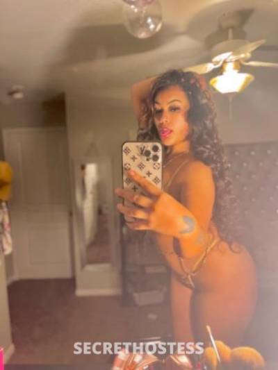 Vianey 21Yrs Old Escort Pensacola FL Image - 3