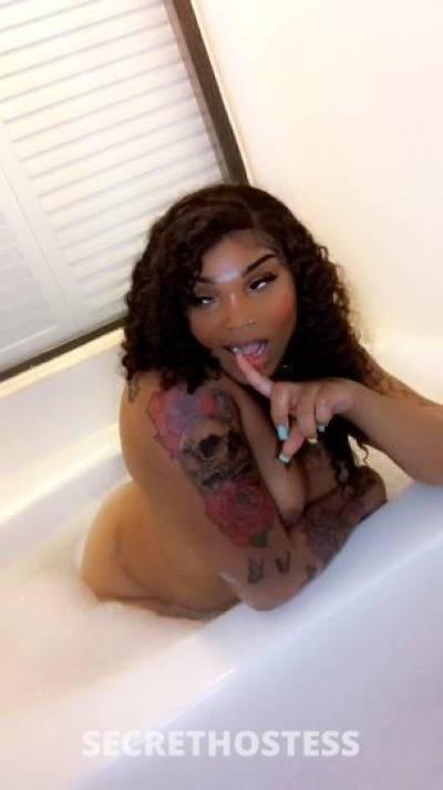 Wet 25Yrs Old Escort Baton Rouge LA Image - 6