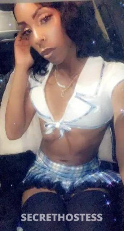 25 year old Escort in North Bay CA xxxx-xxx-xxx .... ........ ............ ....INCALL / OUTCALL