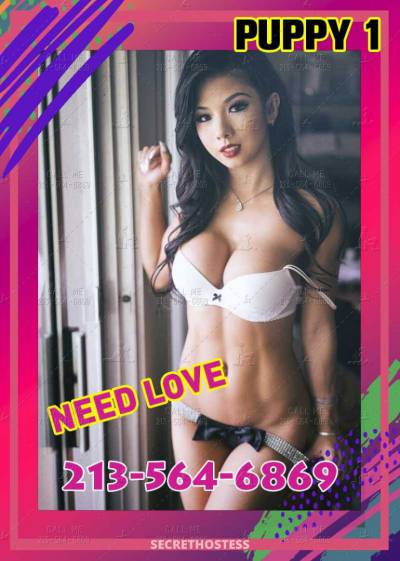 24Yrs Old Escort Westchester FL Image - 1