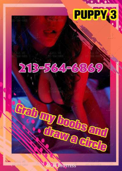 24Yrs Old Escort Westchester FL Image - 5