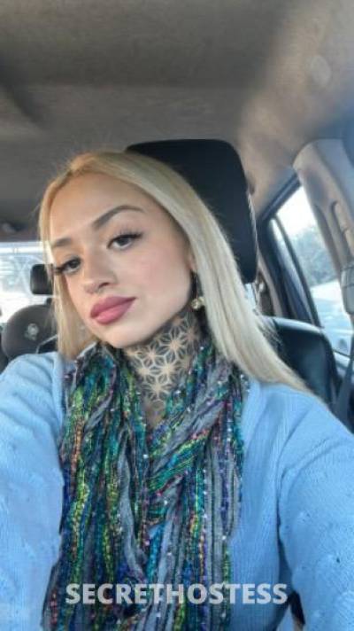 25 Year Old Latino Escort Los Angeles CA Blonde - Image 5