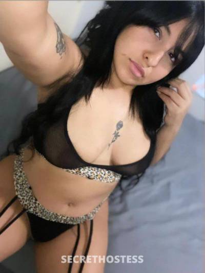 27 year old Latino Escort in Tampa FL Salvaje y seductora