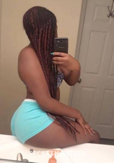 28Yrs Old Escort Tampa FL Image - 3