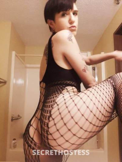 AMBER 24Yrs Old Escort Saint Louis MO Image - 4