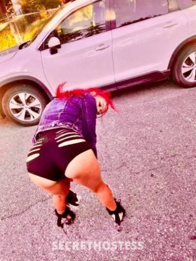 20 year old Escort in San Diego CA Ariana. Back in Town