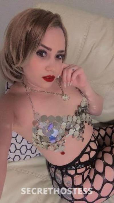 AshleyMaria 25Yrs Old Escort Dallas TX Image - 2