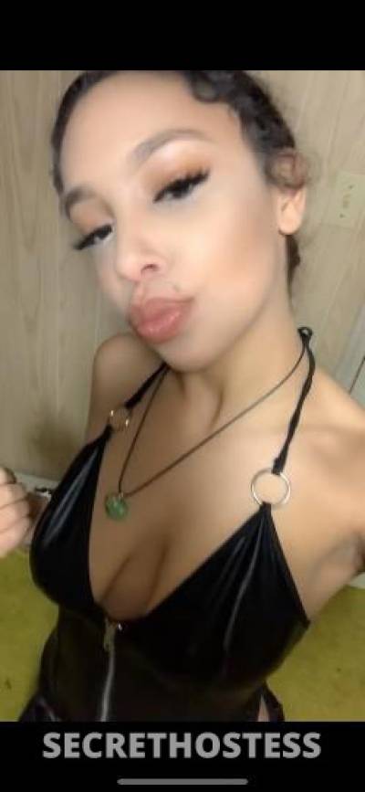 Bambi 20Yrs Old Escort South Coast MA Image - 2