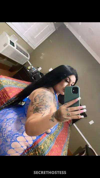 Brittany Banks 21Yrs Old Escort San Diego CA Image - 4