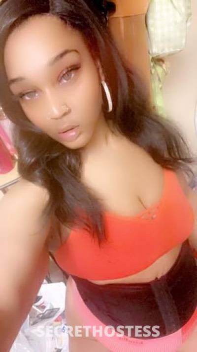 Caramel 25Yrs Old Escort Tulsa OK Image - 2