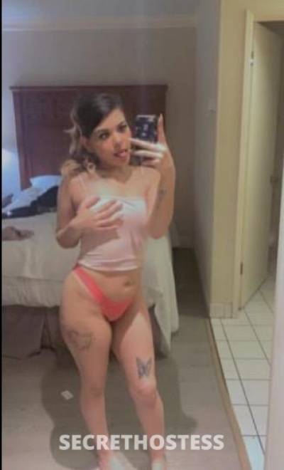 Cecilia 23Yrs Old Escort Stockton CA Image - 9