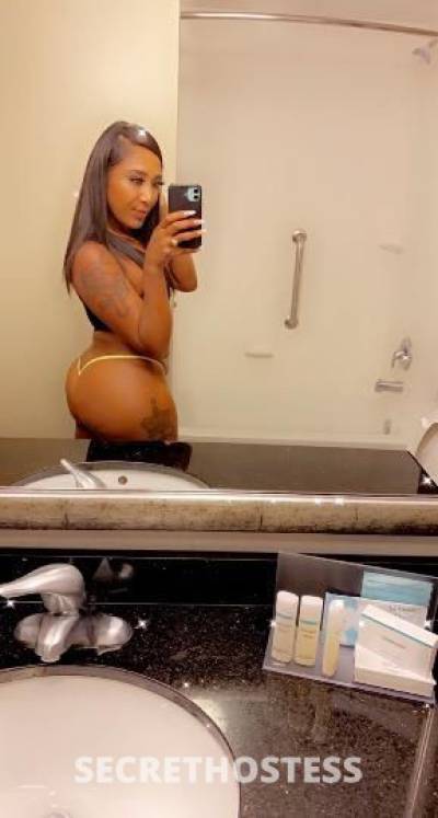 Cindy 24Yrs Old Escort Fresno CA Image - 1