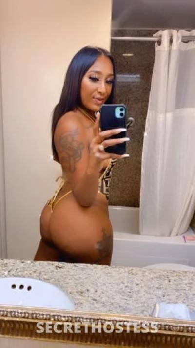 Cindy 24Yrs Old Escort Fresno CA Image - 5