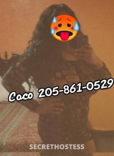 Coco 29Yrs Old Escort Tuscaloosa AL Image - 3