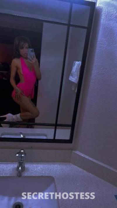 Cookie 24Yrs Old Escort Corpus Christi TX Image - 3