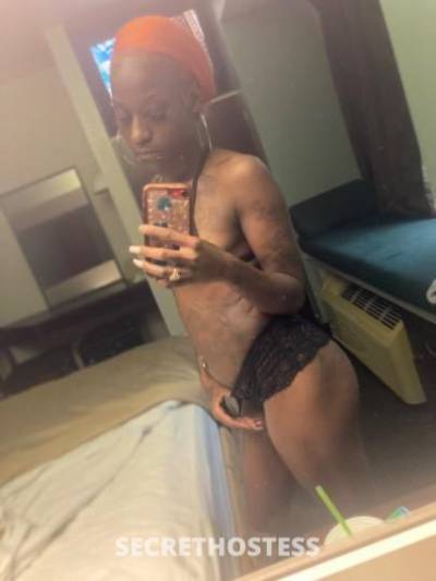 Diamond 28Yrs Old Escort Memphis TN Image - 6