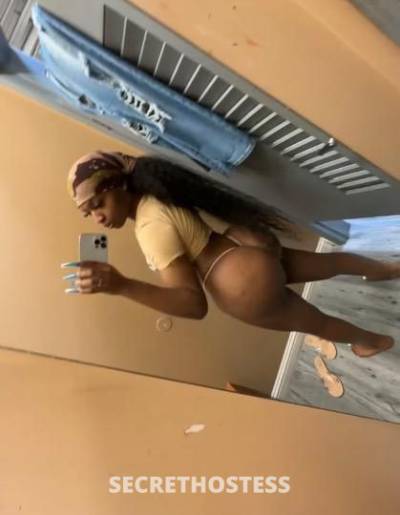 Dream 22Yrs Old Escort Houston TX Image - 2