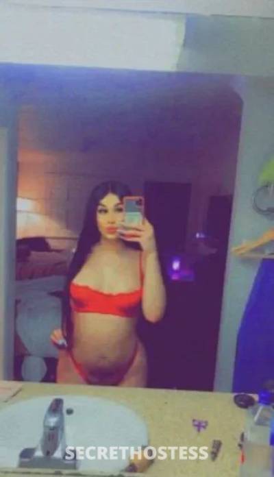 Estela 24Yrs Old Escort 165CM Tall Stockton CA Image - 5