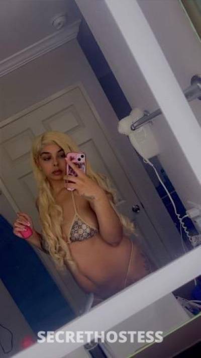 Honey 21Yrs Old Escort Bakersfield CA Image - 0