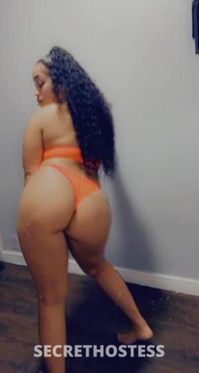 Jasmine 23Yrs Old Escort Harrisburg PA Image - 1