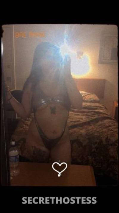 Kiki 25Yrs Old Escort Denver CO Image - 3