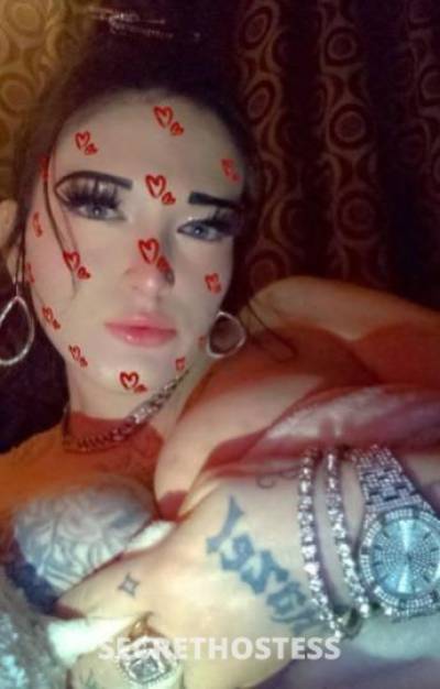 Lilnympho 24Yrs Old Escort Tampa FL Image - 6