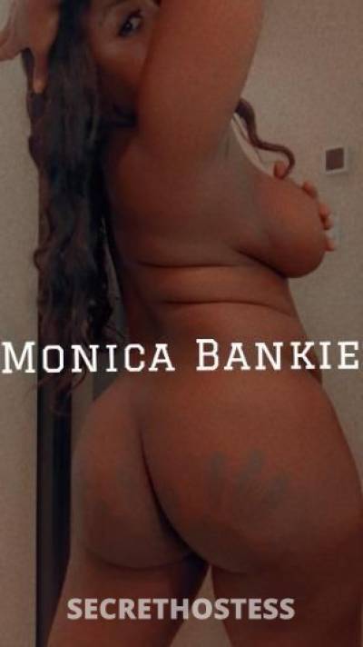 Monica 26Yrs Old Escort Westchester NY Image - 11