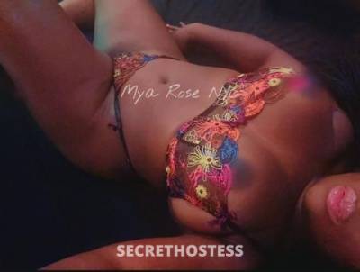 MyaRose 27Yrs Old Escort New York City NY Image - 2