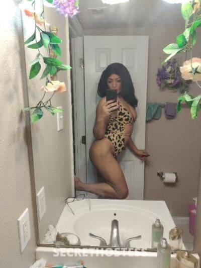 Nicole 27Yrs Old Escort Southern Maryland DC Image - 8