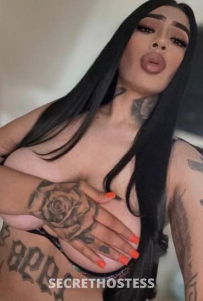 Olivia 25Yrs Old Escort Fresno CA Image - 0