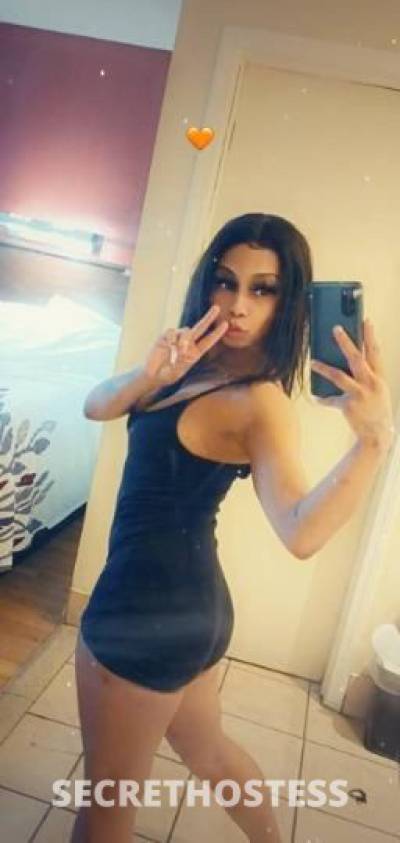 Paris 27Yrs Old Escort Stockton CA Image - 7