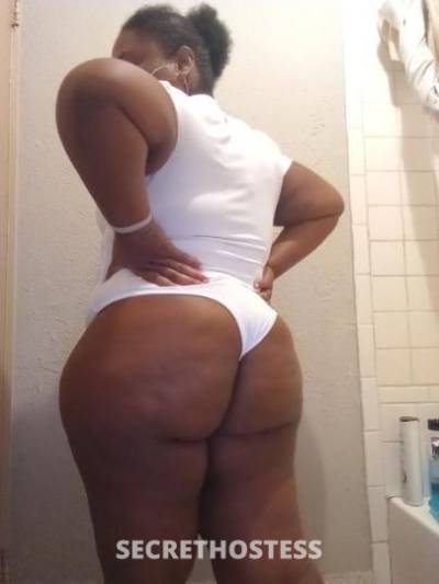 Phatty 26Yrs Old Escort Dallas TX Image - 0