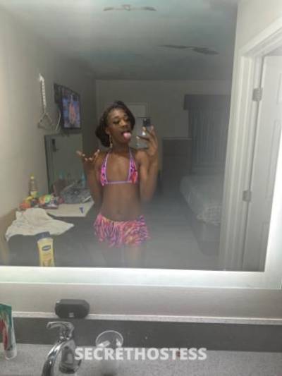 Pressure 23Yrs Old Escort Long Beach CA Image - 1