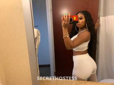 Rose 25Yrs Old Escort Concord CA Image - 1