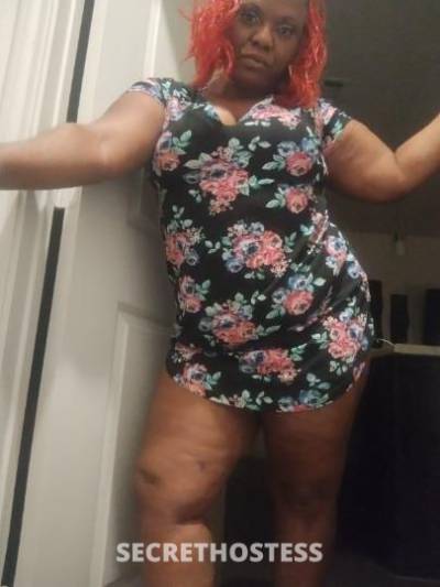 SPARKLE 36Yrs Old Escort San Marcos TX Image - 1