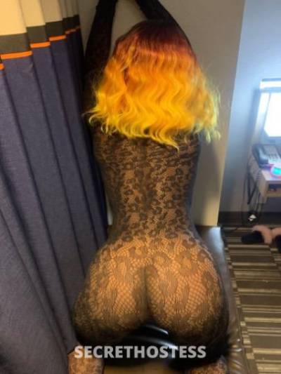 Snow 24Yrs Old Escort Baton Rouge LA Image - 4