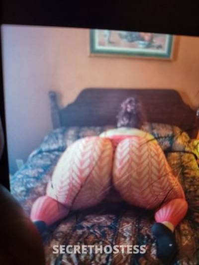 Star 34Yrs Old Escort Saint Louis MO Image - 7