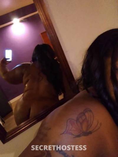 Tamia 27Yrs Old Escort Detroit MI Image - 3
