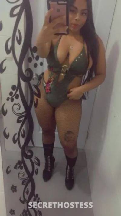 25 Year Old Filipino Escort San Francisco CA - Image 4