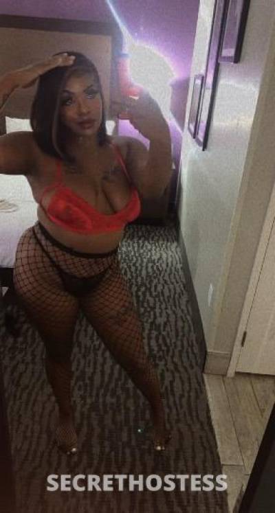 Tiffany 25Yrs Old Escort Manhattan NY Image - 1