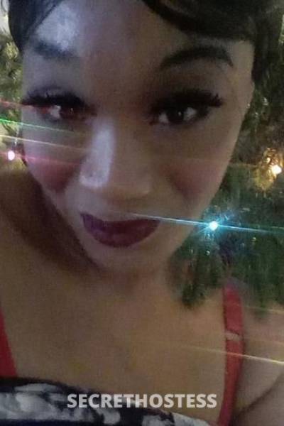 29 year old Escort in Staten Island NY I m back head dr bbj no deposit