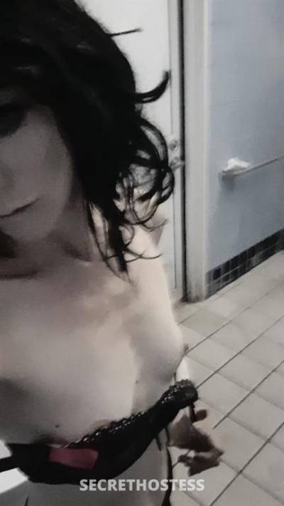 35Yrs Old Escort Size 6 Mackay Image - 11