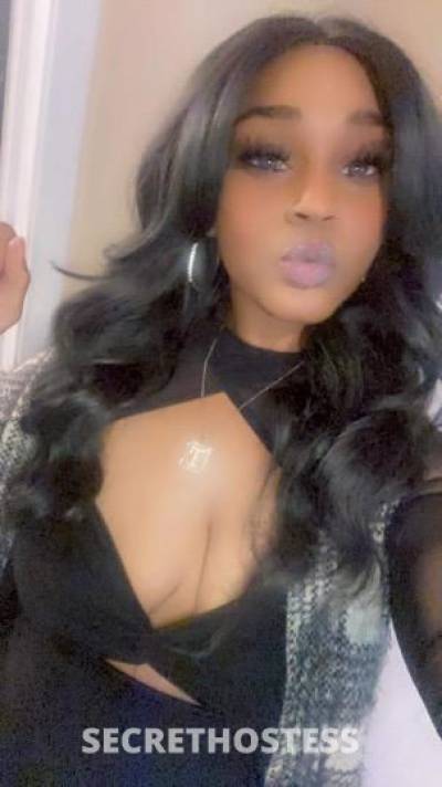 Caramel 25Yrs Old Escort Tulsa OK Image - 6