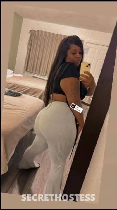 Dream 24Yrs Old Escort Chico CA Image - 1