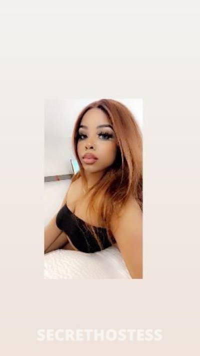 Honey 24Yrs Old Escort Lafayette LA Image - 2